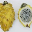 Yellow dragon fruit