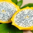 Dragon Fruit Farming in Kenya: The Ultimate Guide to Growing Your Agricultural Fortune
