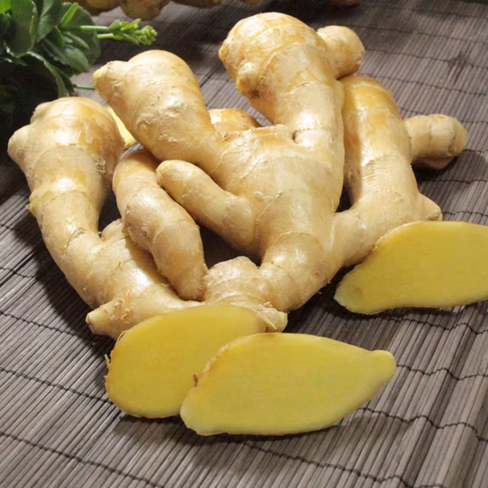 ginger farming in kenya