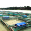 fish farming in kenya