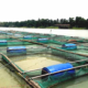 fish farming in kenya