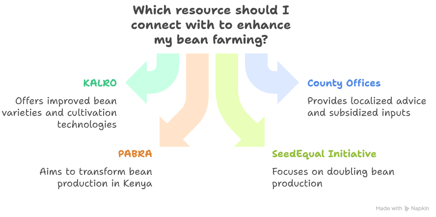 Beans Farming in Kenya: