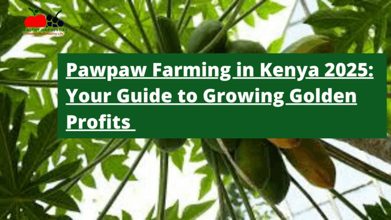 Pawpaw Farming in Kenya 2025: Your Guide to Growing Golden Profits