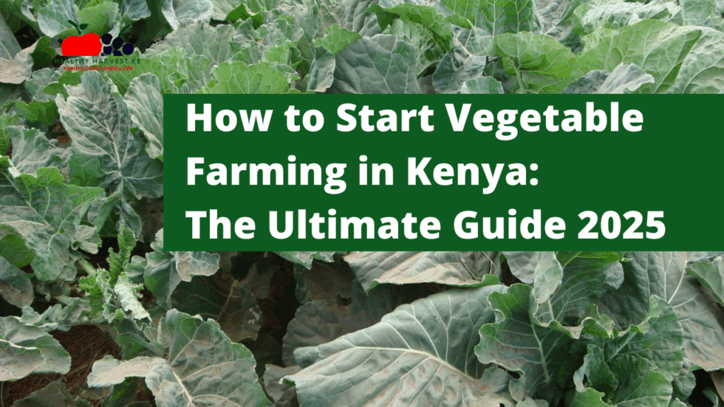 How to Start Vegetable Farming in Kenya: The Ultimate Guide 2025