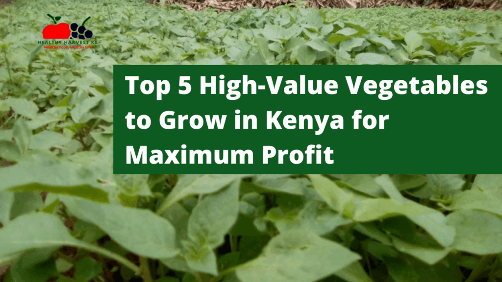Top 5 High-Value Vegetables to Grow in Kenya for Maximum Profit: A Beginner's Guide