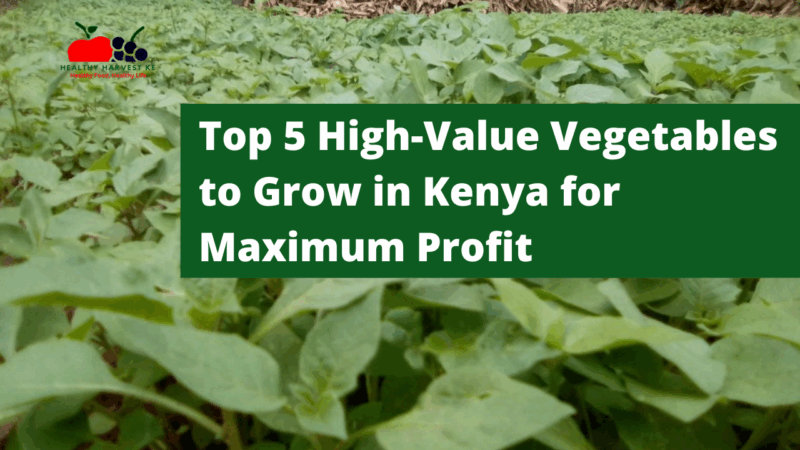 Top 5 High-Value Vegetables to Grow in Kenya for Maximum Profit: A Beginner's Guide