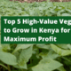 Top 5 High-Value Vegetables to Grow in Kenya for Maximum Profit: A Beginner's Guide
