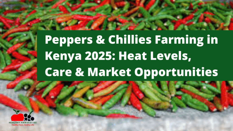 Peppers & Chillies Farming in Kenya 2025: Heat Levels, Care & Market Opportunities