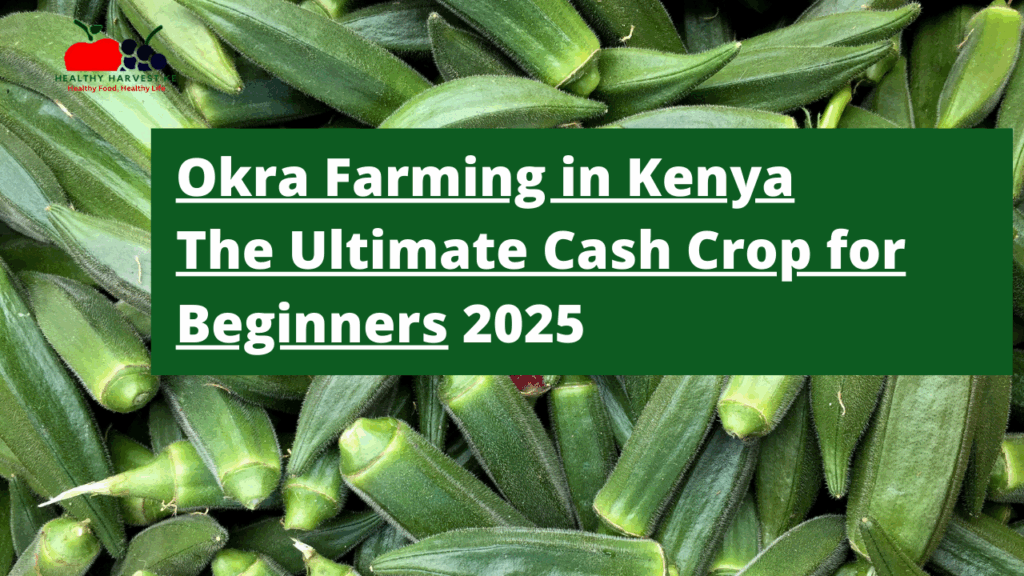 Okra Farming in Kenya: The Ultimate Cash Crop for Beginners