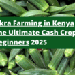 Okra Farming in Kenya: The Ultimate Cash Crop for Beginners