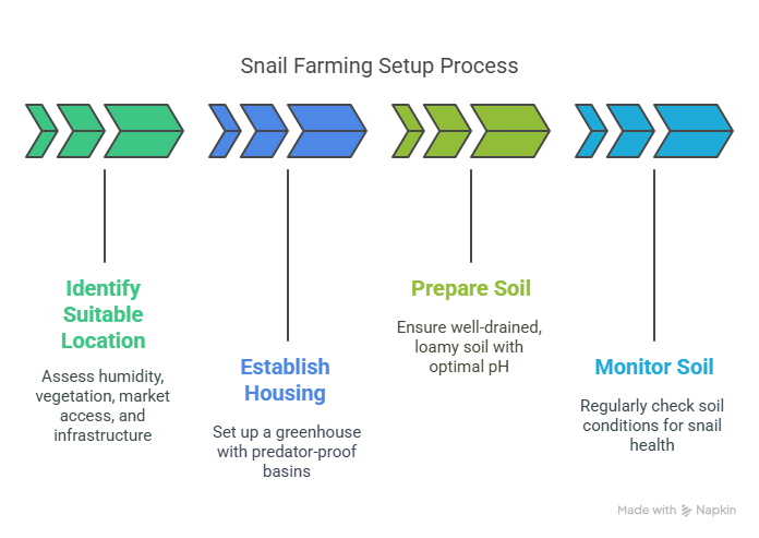 Getting Started_ The Practical Setup - visual selection