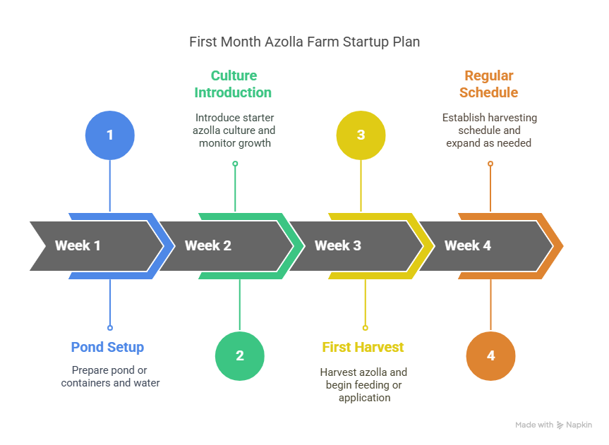 Getting Started_ Your First Month Plan - visual selection