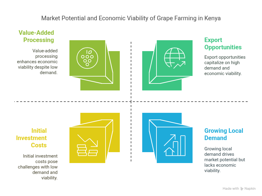 Market Potential and Economic Aspects - visual selection