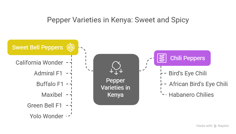 Pepper Varieties That Thrive in Kenyan Soil - visual selection