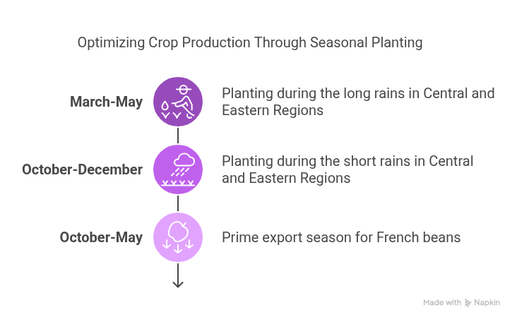 Seasonal Planting Guide by Region