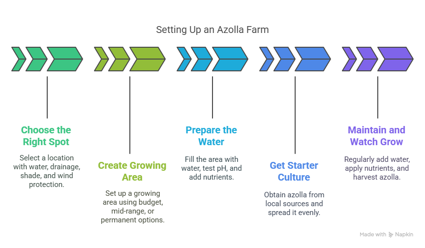 Setting Up Your Azolla Farm_ Simpler Than You Think - visual selection