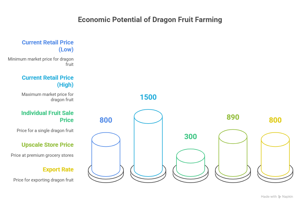 The Numbers Don't Lie_ Dragon Fruit's Profit Potential - visual selection