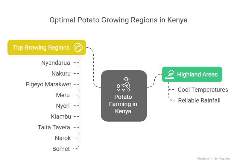 Where Potatoes Grow Best in Kenya - visual selection