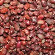 Beans Farming in Kenya: