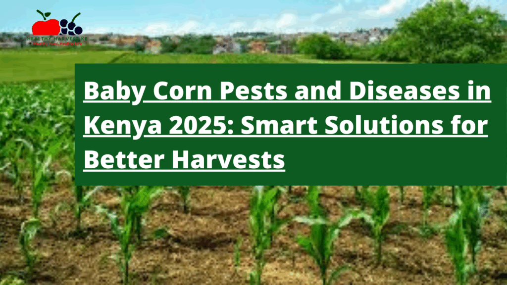 Baby Corn Farming in Kenya 2025 Ultimate Guide to Growing This Quick-Return Crop (1)