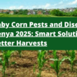 Baby Corn Farming in Kenya 2025 Ultimate Guide to Growing This Quick-Return Crop (1)