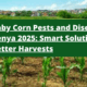 Baby Corn Farming in Kenya 2025 Ultimate Guide to Growing This Quick-Return Crop (1)
