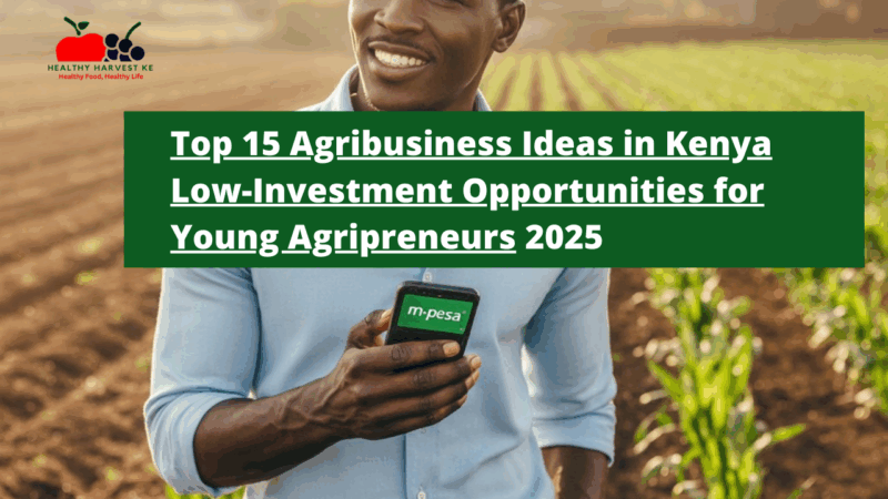 Top 15 Agribusiness Ideas in Kenya 2025: Low-Investment Opportunities for Young Entrepreneurs