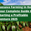 Cassava Farming in Kenya: Your Complete Guide to Starting a Profitable Venture 2025