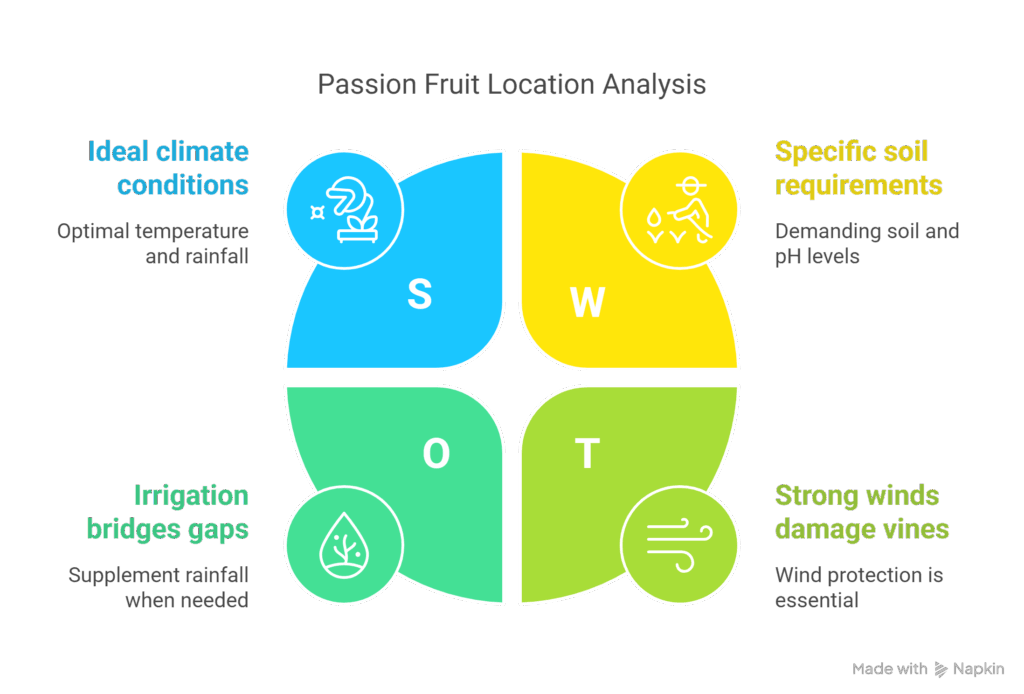 Choosing Your Perfect Spot_ Location Matters - visual selection