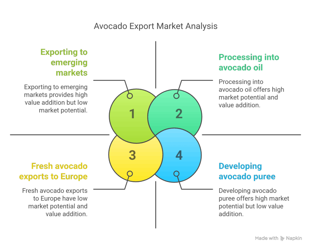 Export Opportunities_ Getting Your Avocados to Global Markets - visual selection