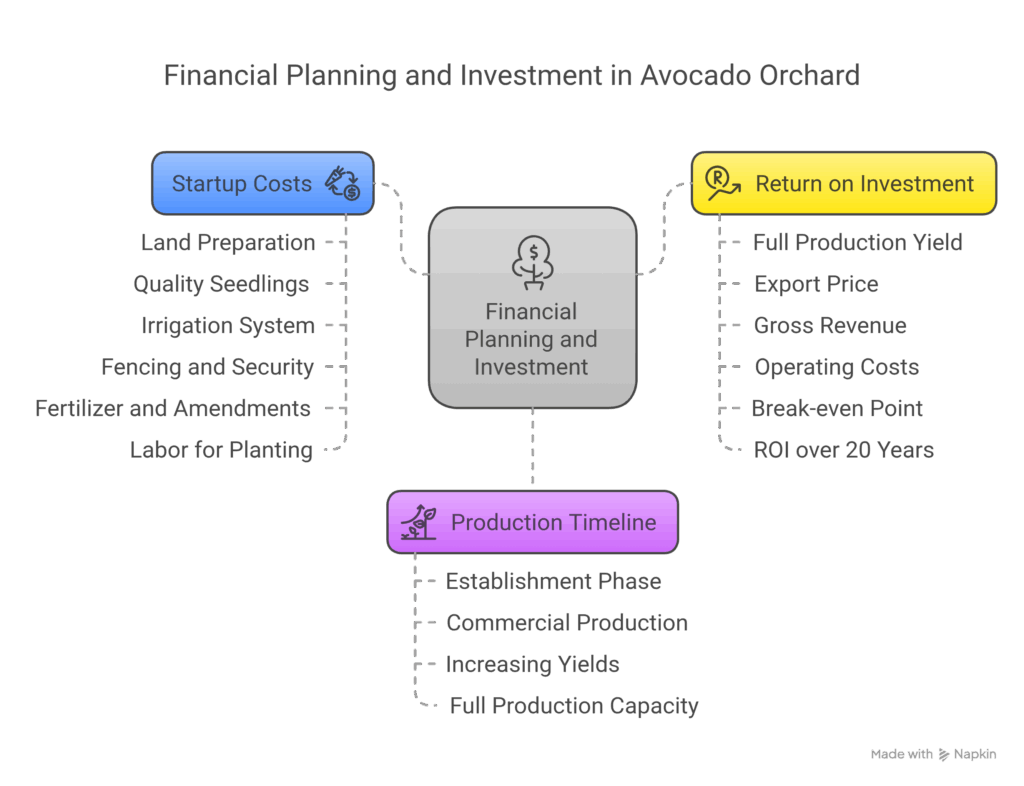 Financial Planning and Investment - visual selection