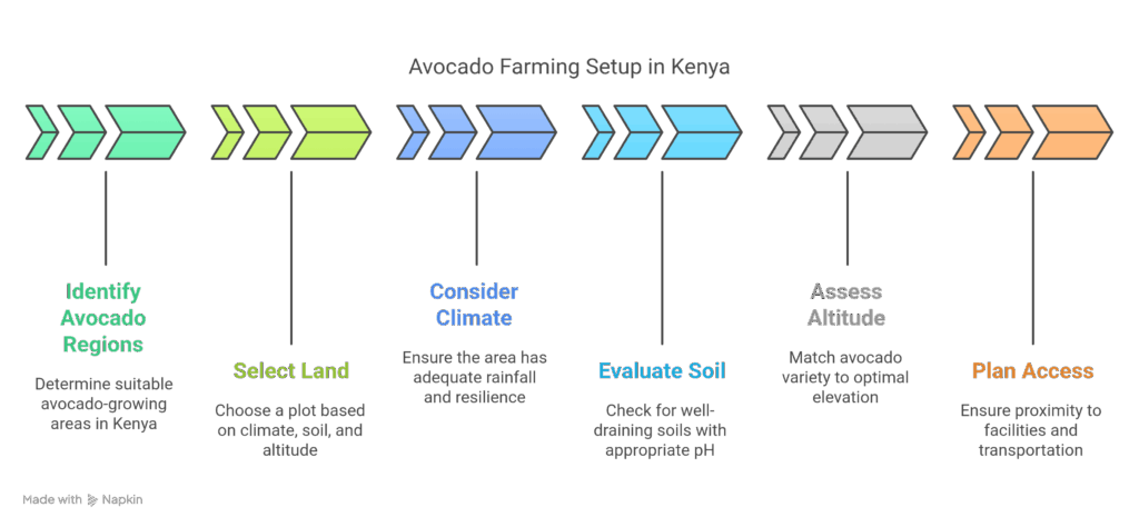 Getting Started_ Location and Land Requirements - visual selection