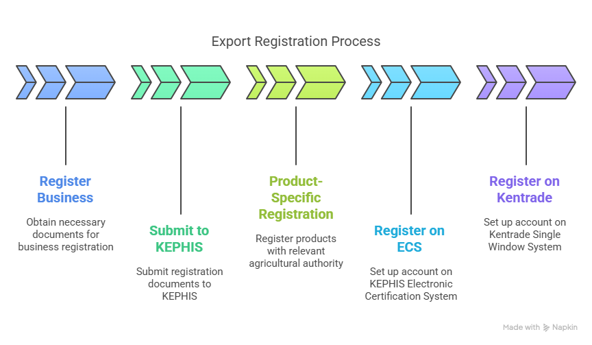 Getting Started_ The Registration Hustle - visual selection