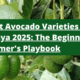 Best Avocado Varieties in Kenya 2025: The Beginner Farmer's Playbook