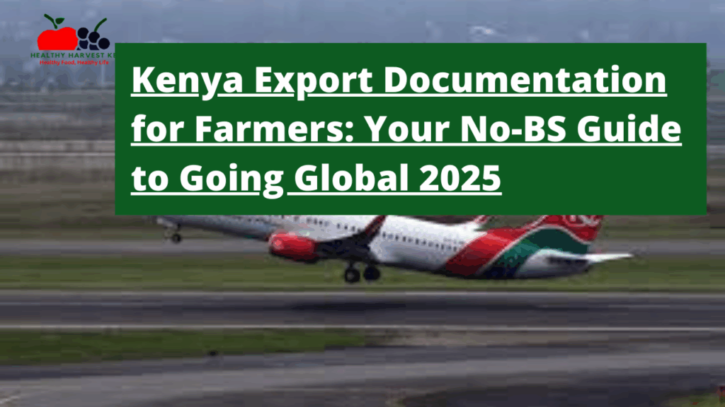Kenya Export Documentation for Farmers: Your No-BS Guide to Going Global