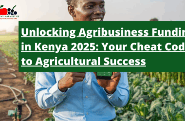Unlocking Agribusiness Funding in Kenya 2025: Your Cheat Code to Agricultural Success