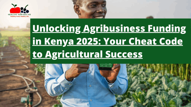 Unlocking Agribusiness Funding in Kenya 2025: Your Cheat Code to Agricultural Success