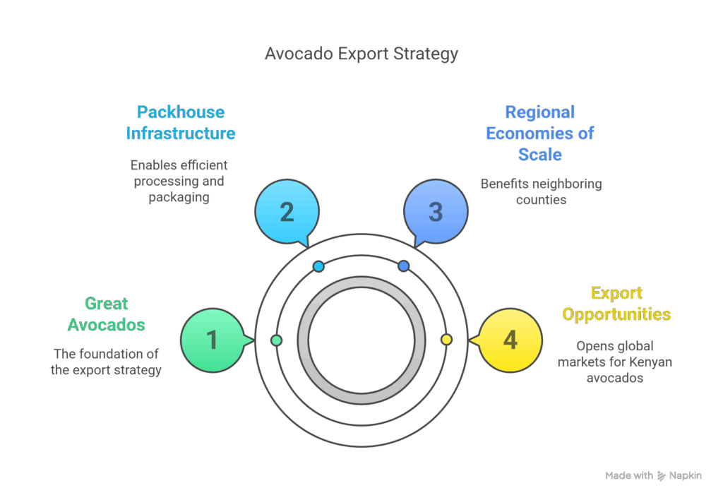 Leveling Up_ Value Addition and Export Markets - visual selection