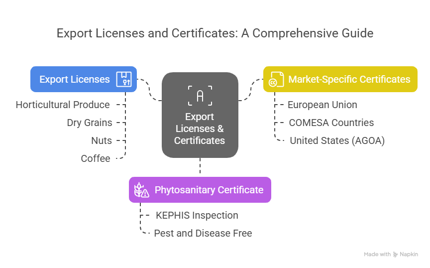 Licenses & Certificates_ Your Export Passport - visual selection