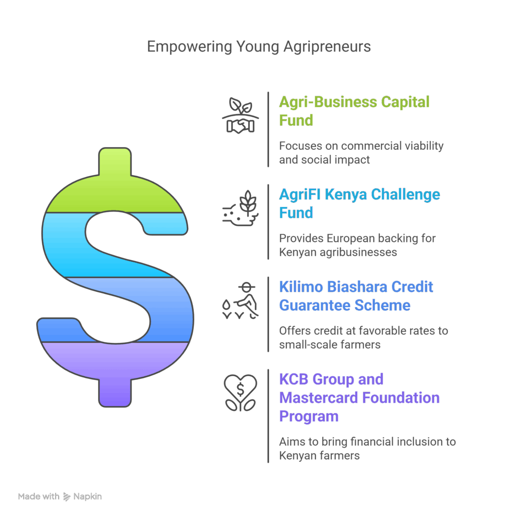 Major Funding Programs Every Young Agripreneur Should Know - visual selection