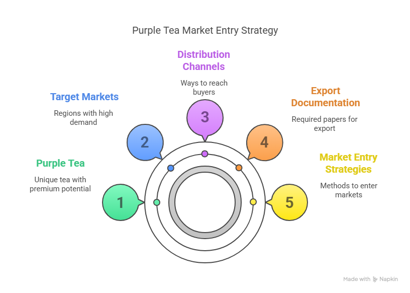 Market Entry_ Finding Your Buyers - visual selection