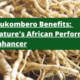 Mukombero Benefits: Nature's African Performance Enhancer