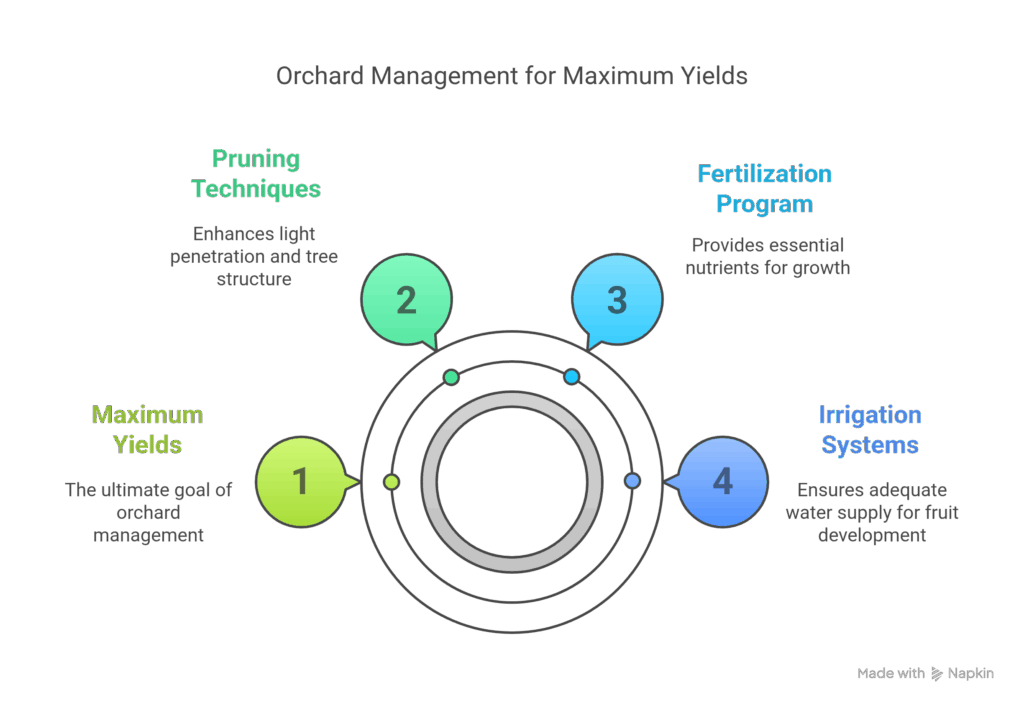 Orchard Management for Maximum Yields - visual selection