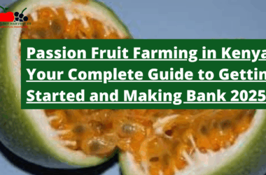 Passion Fruit Farming in Kenya: Your Complete Guide to Getting Started and Making Bank 2025