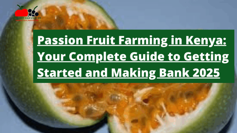 Passion Fruit Farming in Kenya: Your Complete Guide to Getting Started and Making Bank 2025