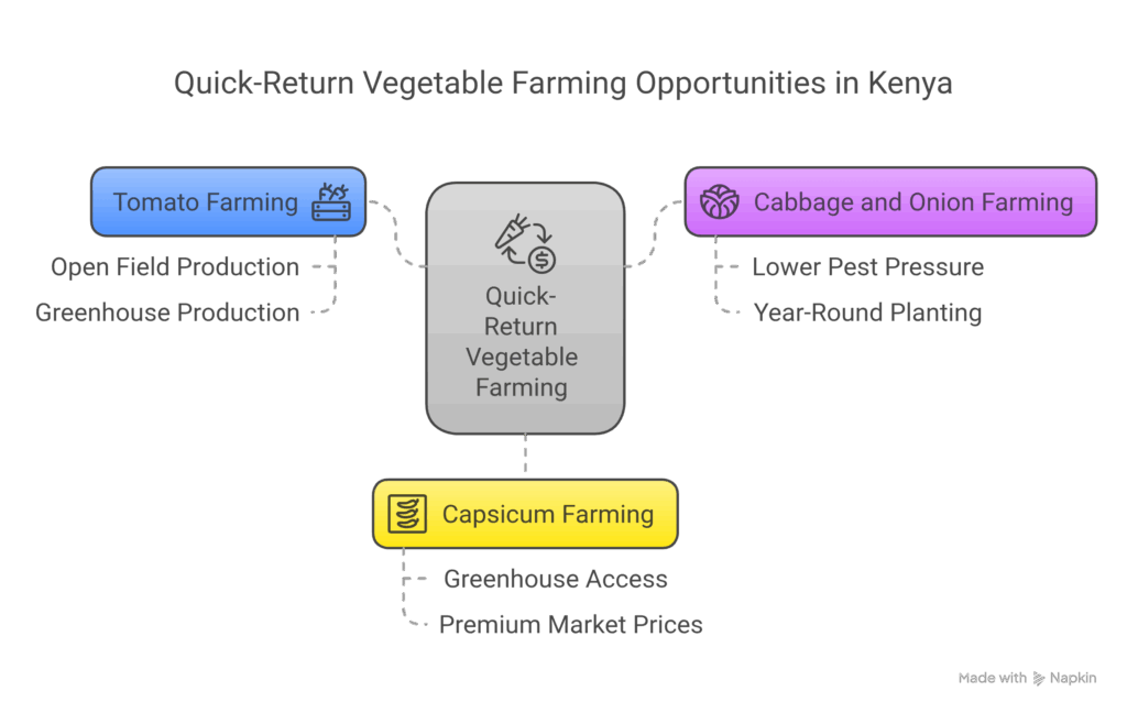 Quick-Return Vegetable Farming Opportunities - visual selection