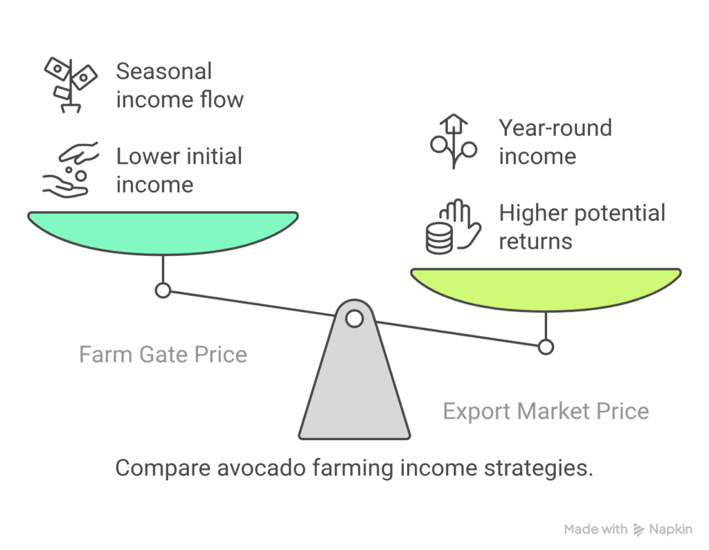 Show Me The Money_ The Economics of Avocado Farming - visual selection
