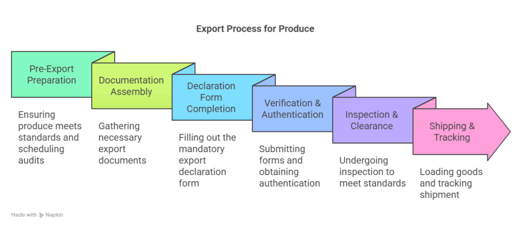 The Export Process_ Step-By-Step - visual selection