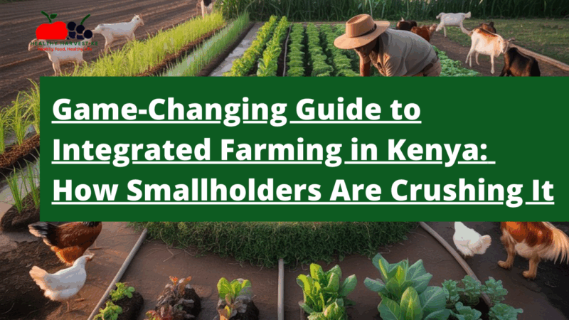 The Game-Changing Guide to Integrated Farming in Kenya: How Smallholders Are Crushing It
