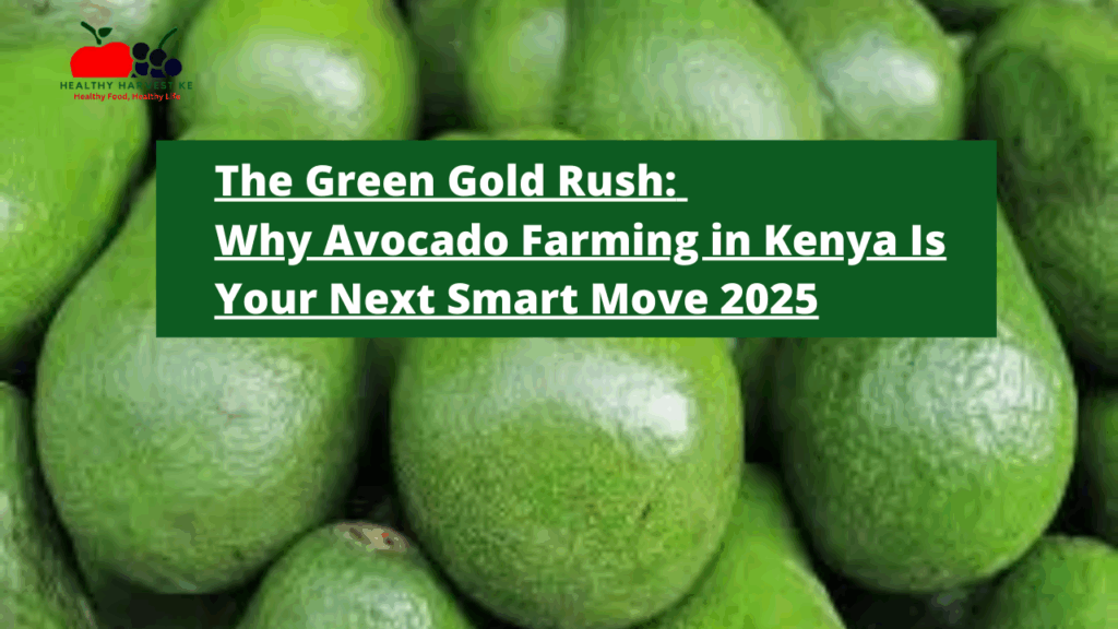 The Green Gold Rush Why Avocado Farming in Kenya Is Your Next Smart Move 2025
